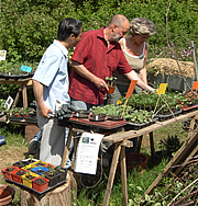 Planzenmarkt